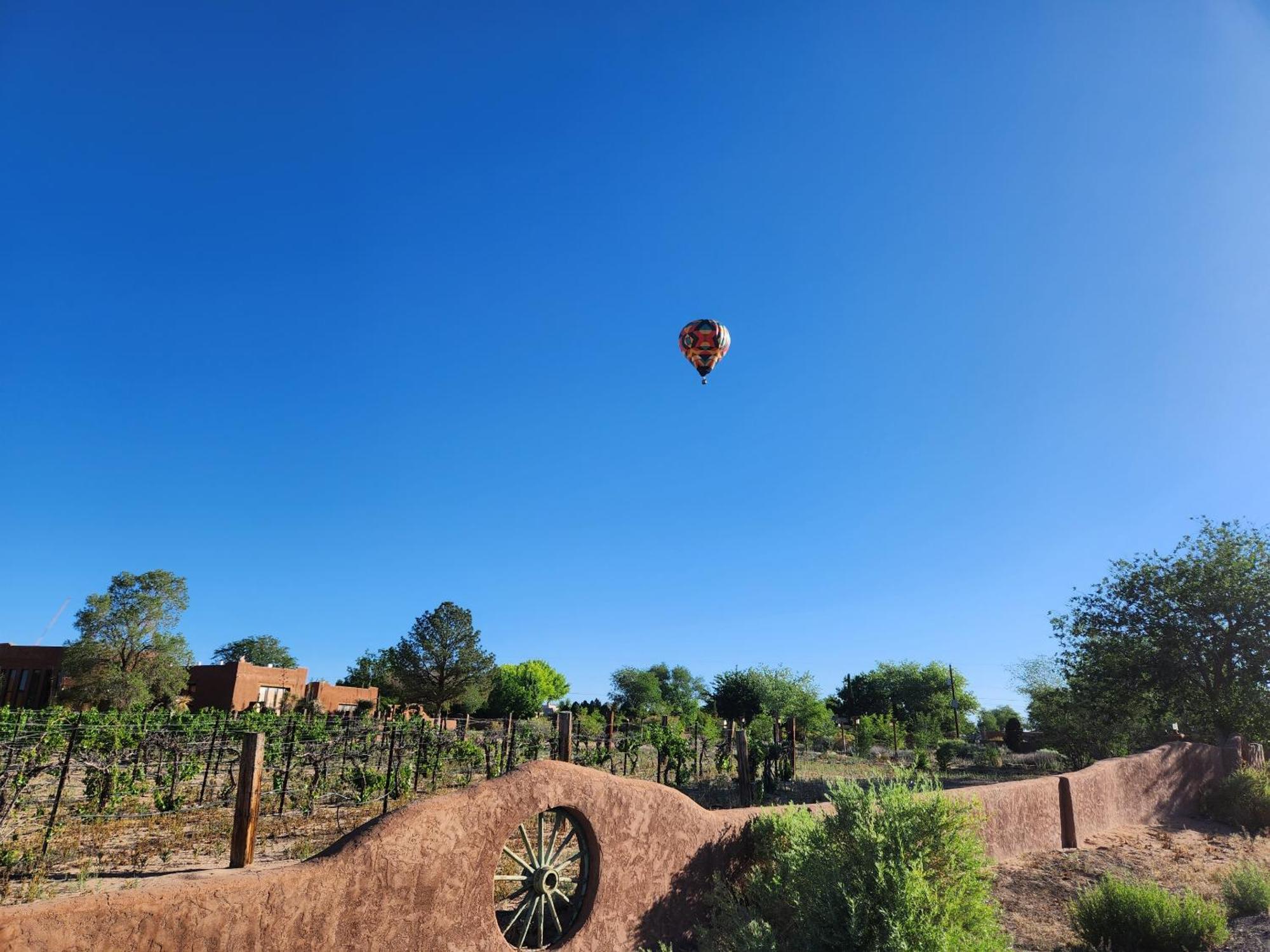 Red Mountain Manor Vineyard And Guesthouse Rio Rancho Exteriör bild
